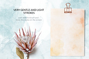 Watercolor Photoshop brush set preview 3
