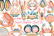 Seashell Illustration Clipart Set, an Illustration by Libby Wishes (Thumbnail 1 of 8)