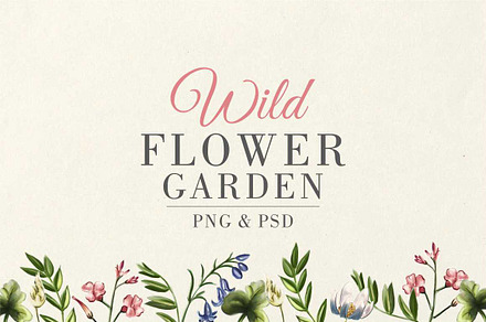 Wild Flower Garden