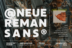 Neue Reman Sans Family, a Sans Serif Font by Propertype