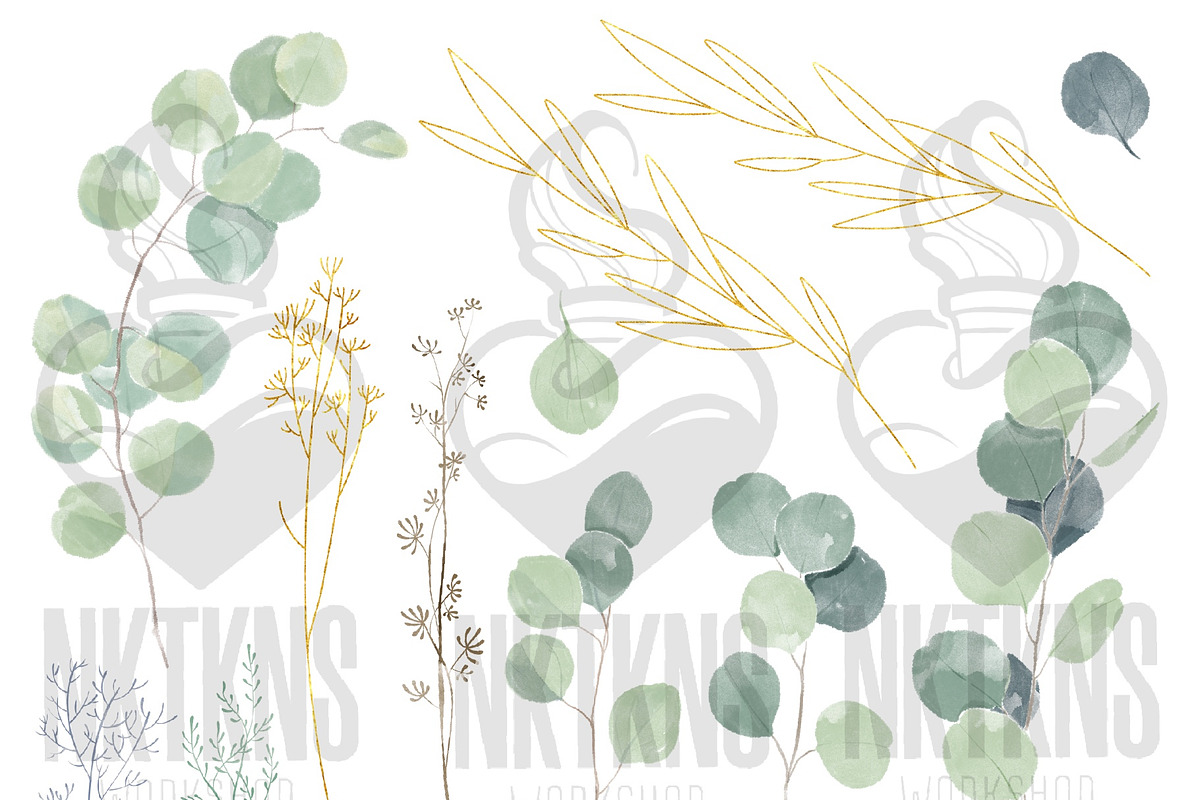Watercolor Eucalyptus clipart, an Illustration by NKTKNS (Photo 2 of 7)