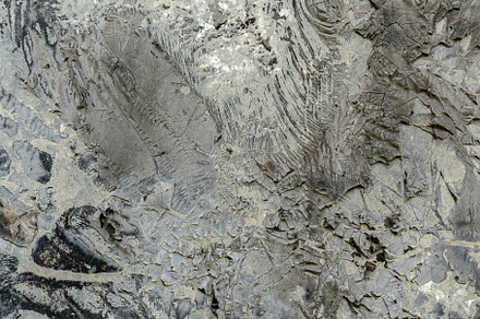 a grunge surface with dirt and dust, a Background Photo by Mikee's stuff