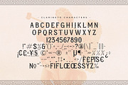 Clarineto A Display Typeface Font, a Serif Font by Storytype Studio (Thumbnail 13 of 15)