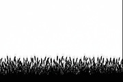 Farm Silhouette Wheat Clipart Set, an Illustration by BIPLOB EXPERT (Thumbnail 4 of 9)