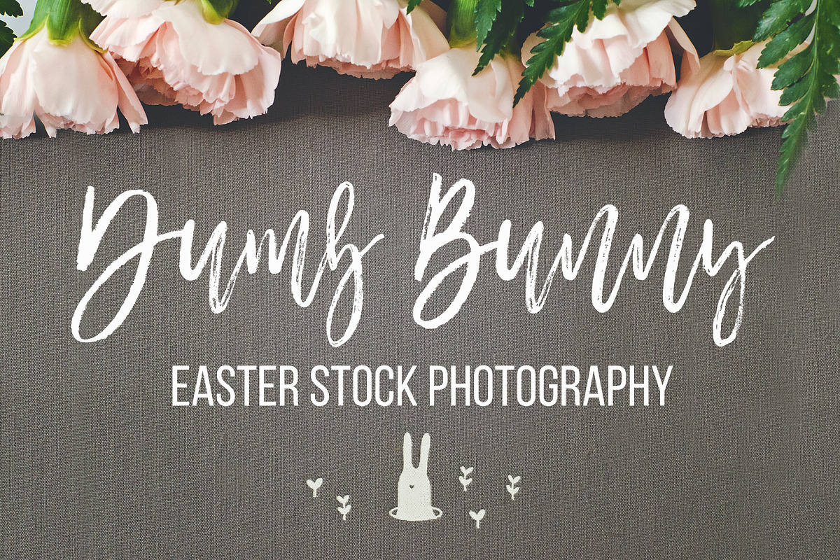 Dumb Bunny Easter Stock Photography, a Mockup by Ashley Alexandra Design (Photo 2 of 10)