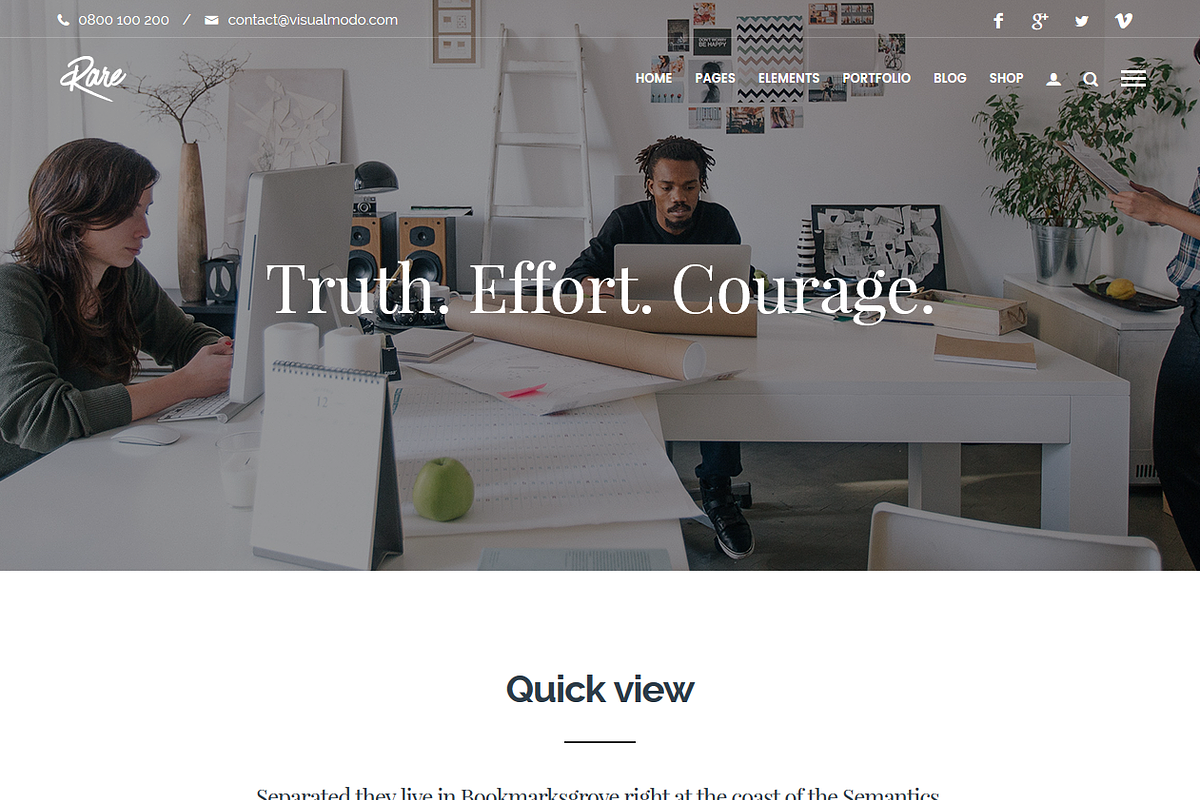 Rare Muitli-Purpose WordPress Theme preview 3