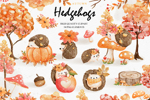 Autumn Hedgehogs Cliparts