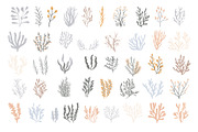Ocean Adventure Bundle, an Animal Illustration by Mariia Kovalchuk (Thumbnail 3 of 12)