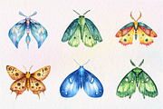 Watercolor Butterfly Clipart, an Illustration by CreationArt (Thumbnail 5 of 9)