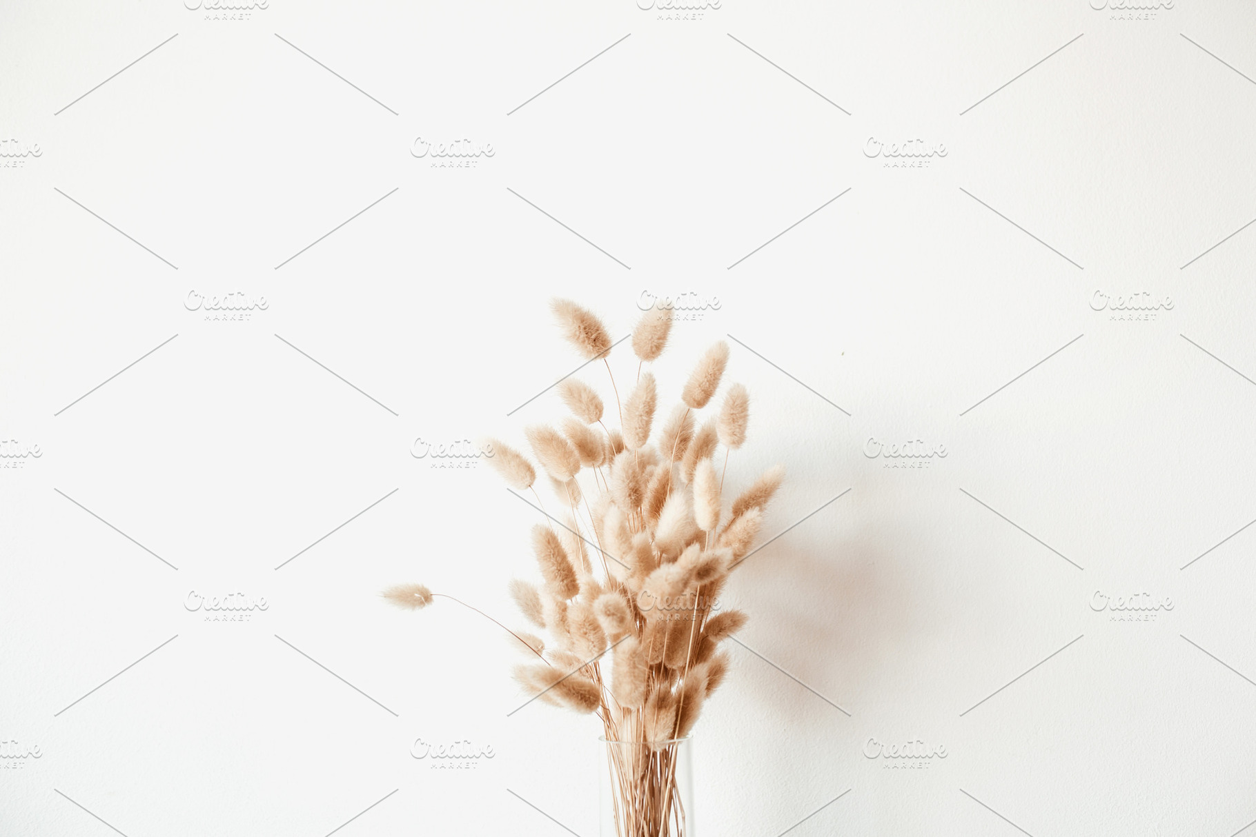 Fluffy plant bouquet, an Arts & Entertainment Photo by Floral Deco