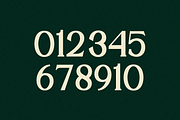 Argillites - Display Serif Font, a Serif Font by RockboyStd (Thumbnail 10 of 12)