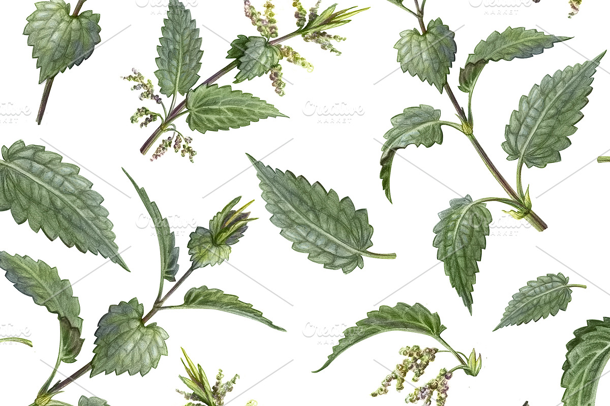 Nettle Pencil Drawing Pattern, a Pattern Graphic by Anna Repp Illustration