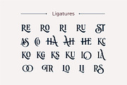 Roystorie Display, a Serif Font by Typia Nesia (Thumbnail 9 of 11)