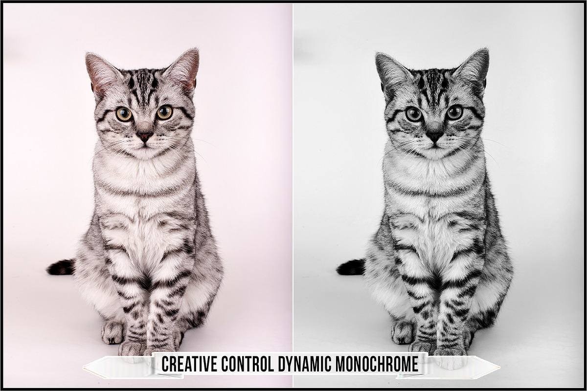Leica Creative Controls Profiles, a Plug-in Add-On by Raztrend (Photo 4 of 30)