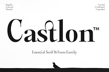 Castlon | 16 Fonts