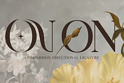 Arceloni Elegance Serif Font, a Serif Font by Vadovastd (Thumbnail 8 of 11)