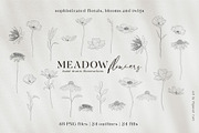 Meadow Flowers & Blooms Bundle, an Illustration by Pigment Café (Thumbnail 4 of 9)