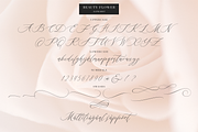 Beauty Flowers, a Script Font by Larin Type Co. (Thumbnail 11 of 13)