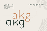 Quint Extended Font, a Sans Serif Font by Wild Ones (Thumbnail 5 of 10)