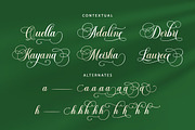 The Bringhton, a Script Font by Straight.co (Thumbnail 8 of 11)