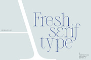 Spora Font Duo, a Serif Font by vuuuds (Thumbnail 3 of 14)
