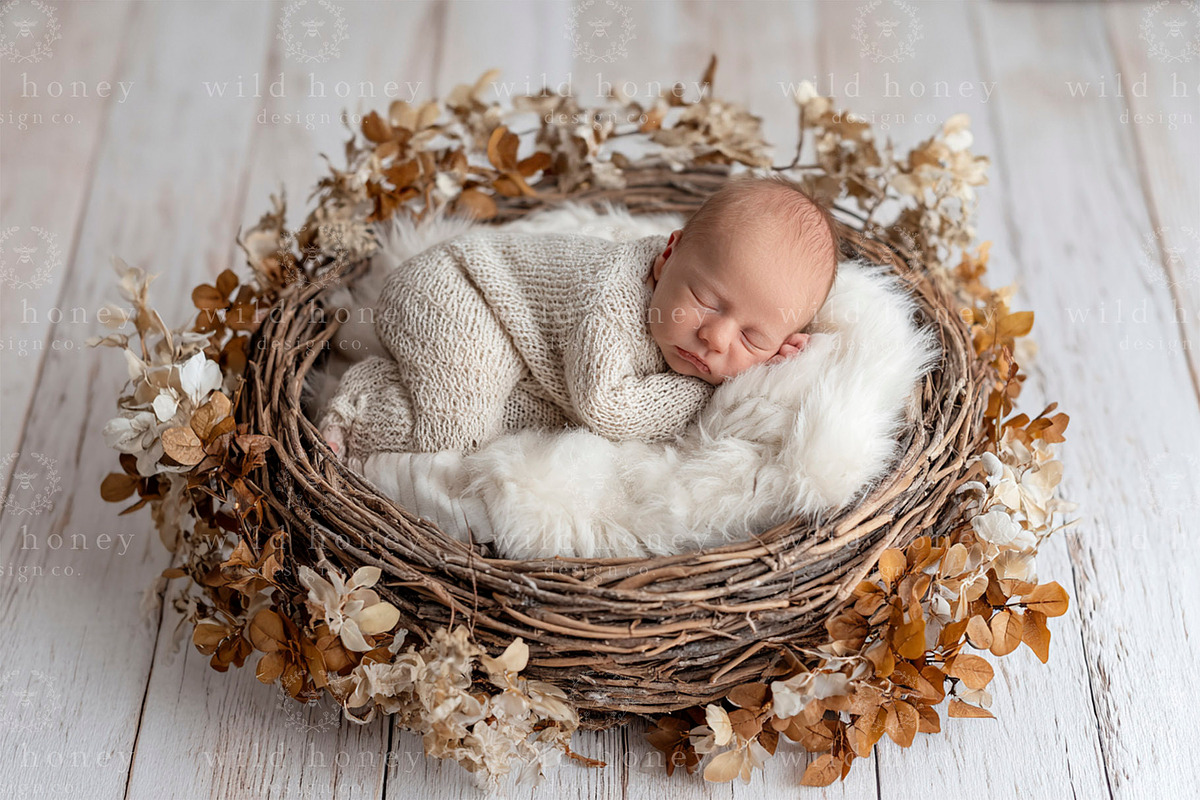 Newborn Nest Digital Backdrop, a Layer Style Add-On by Wild Honey Design Co. (Photo 1 of 2)