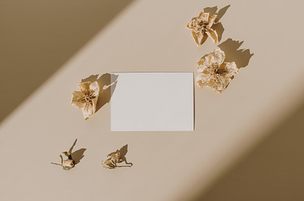 Blank paper card in sunlight shadow, an Arts & Entertainment Photo by Floral Deco