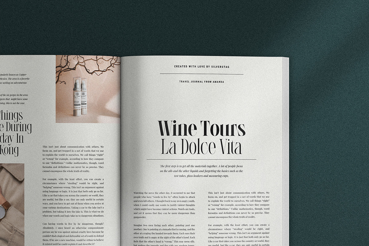 LaRuja - Light & Bold Serif Duo, a Serif Font by SilverStag Type Foundry (Photo 10 of 17)