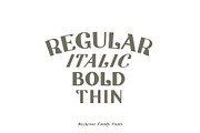 Neckrose - Serif Family Typeface, a Serif Font by Illousa (Thumbnail 2 of 10)