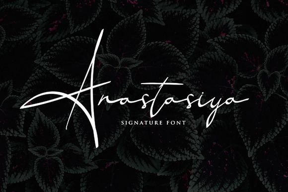 Anastasiya Elegant Signature Font preview 8