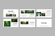 Tropical Nature - PowerPoint Templat, a Presentation Template by QR Design Studio (Thumbnail 3 of 3)