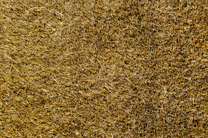 Door Mat Background Texture, a Background Photo by THP Creative