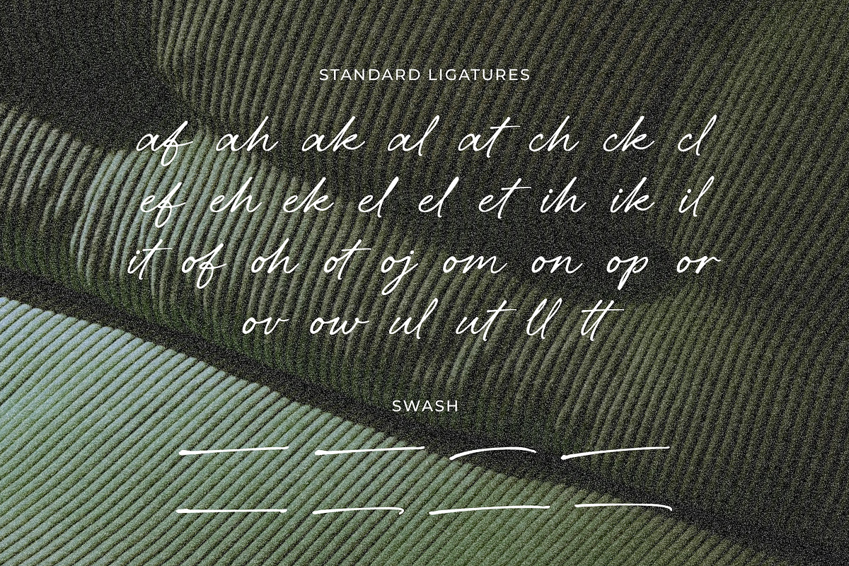 Belovina - Handwritten Script Font, a Handwritten Font by agnyhasyastudio (Photo 13 of 14)