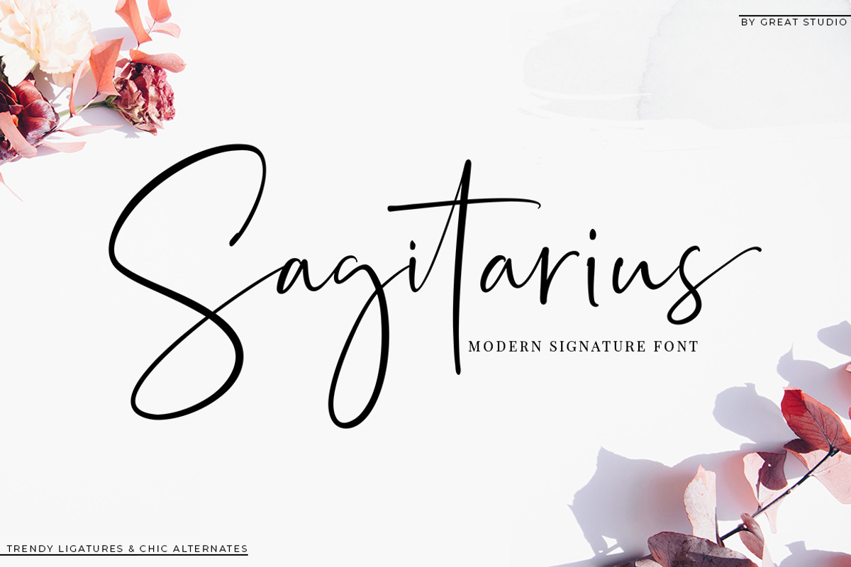 Sagitarius Signature Font, a Script Font by Mulkan Nazir (Photo 1 of 14)