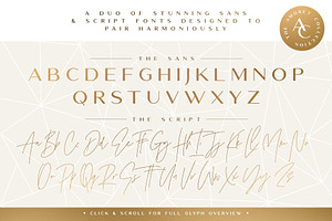 The Amoret Font Duo 12 Logos