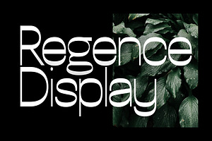 Regence Display Typefaces Webfonts