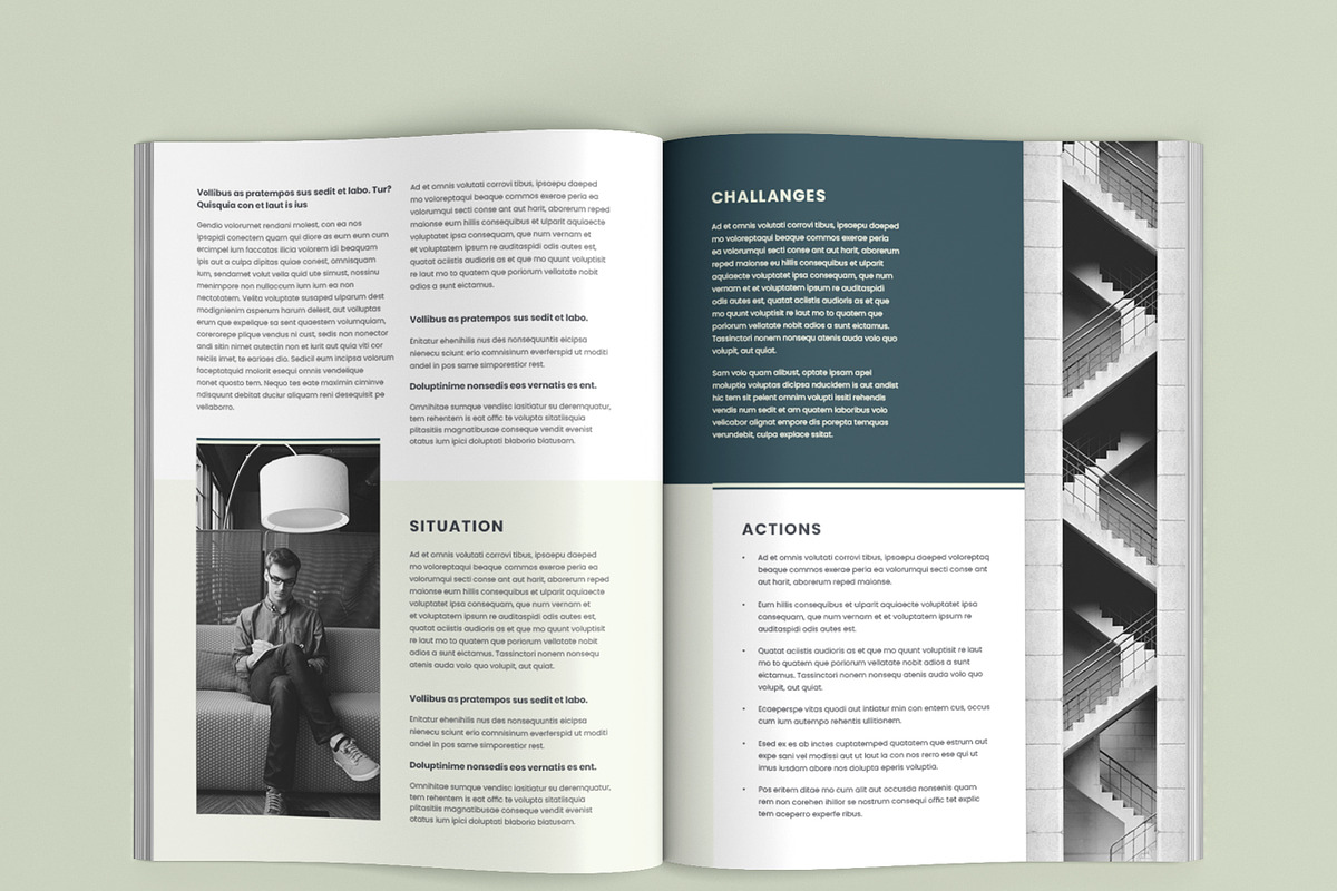 Case Study Template, Data Sheet preview 4