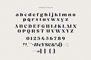 Molra Beauty | Elegant Serif Font, a Serif Font by HansCo Studio (Thumbnail 10 of 12)