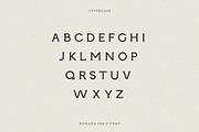 Romara | Elegant & Modern Serif Font, a Font by Wild Theory (Thumbnail 14 of 16)