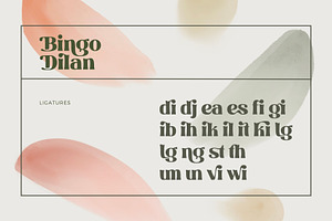 Bingo Dilan - Modern Display Font