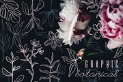 One line graphic botanical, a Decorative Illustration by Moonflora (Thumbnail 1 of 7)