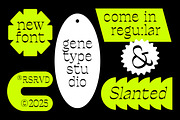 Ronders Reverse Contrast Font, a Serif Font by Genetype (Thumbnail 7 of 10)