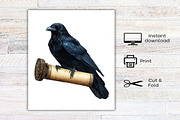Watercolor Toile Witch Clipart, an Illustration by Canvas Craft (Thumbnail 8 of 8)