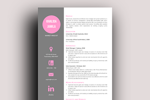 Modern Left Bar Icon Resume Template