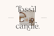Fragile - Modern Serif, a Serif Font by Sans & Sons (Thumbnail 10 of 10)