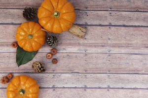 Autumn Pumpkin Scene