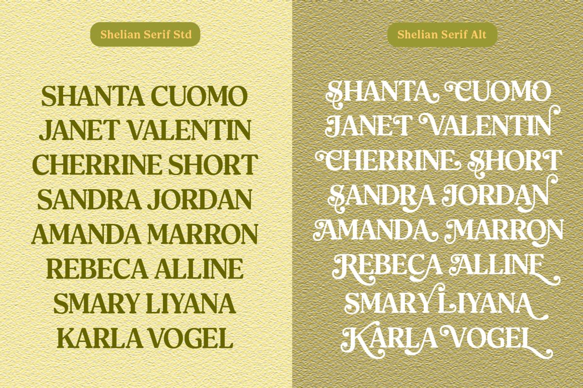 Shelian, a Serif Font by Seniors (Photo 7 of 15)