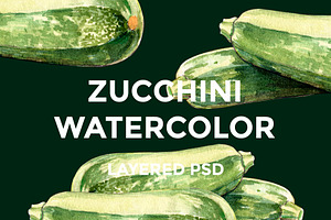 Zucchini watercolor illustrations