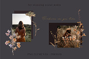 Wildflowers collage collection, a Texture Graphic by Anna Sokol (Thumbnail 5 of 21)
