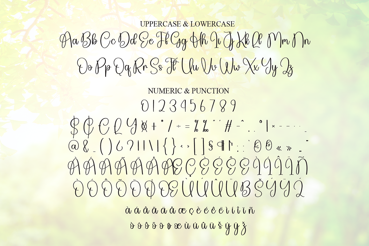 Sunshine | Script Font, a Handwritten Font by Scratchones (Photo 7 of 9)